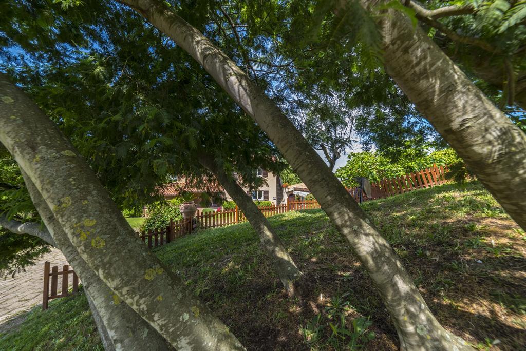 Bed and breakfast Acque Lucenti 3*